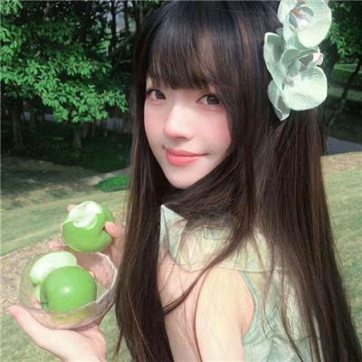 哈莉·奎茵第二季